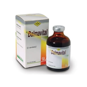 Dalmavital