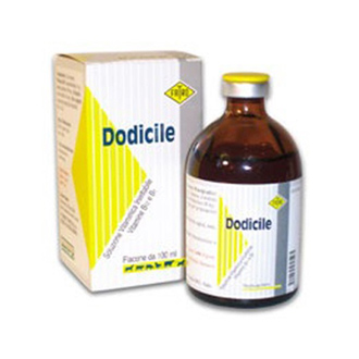 Dodicile