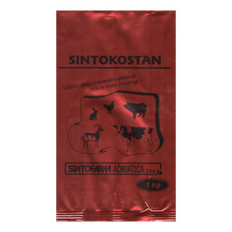 Sintokostan